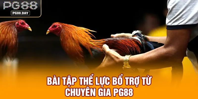 Bài tập thể lực bổ trợ từ chuyên gia PG88