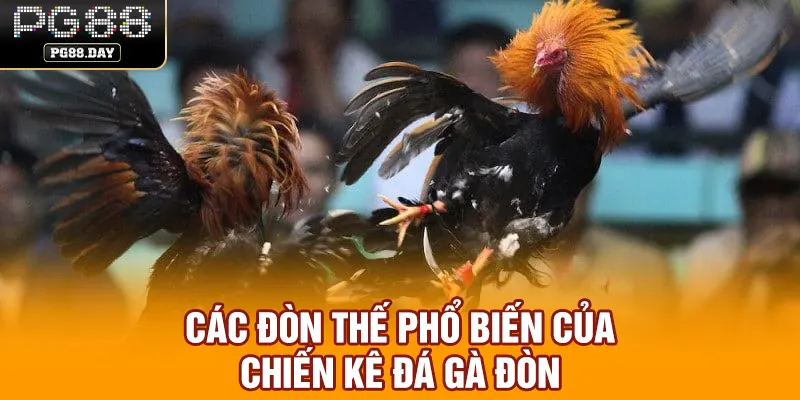 Các đòn thế phổ biến của chiến kê đá gà đòn