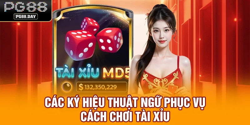 Các ký hiệu thuật ngữ phục vụ cách chơi Tài Xỉu