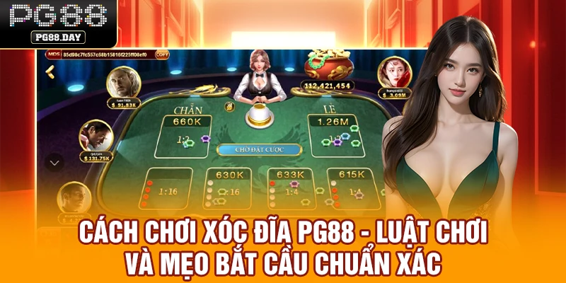 Cách Chơi Xóc Đĩa PG88 - Luật Chơi Và Mẹo Bắt Cầu Chuẩn Xác