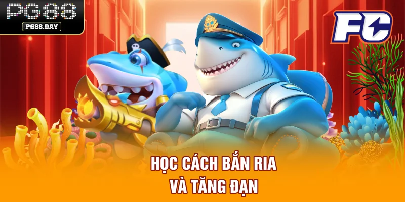 Học cách bắn ria và tăng đạn